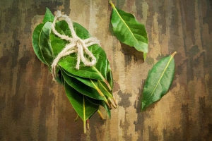 তেজপাতার ১০ ব্যবহার জানলে অবাক হবেন!
