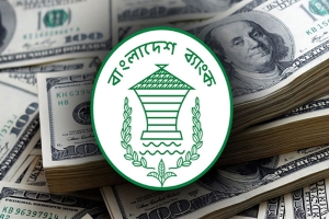 ১৩ দিনে প্রবাসী আয় এলো ১৩০ কোটি ৬০ লাখ ডলার