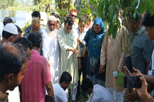 একটি সবুজ বাংলাদেশই টেকসই উন্নয়নের ভিত্তি : মিফতাহ্ সিদ্দিকী