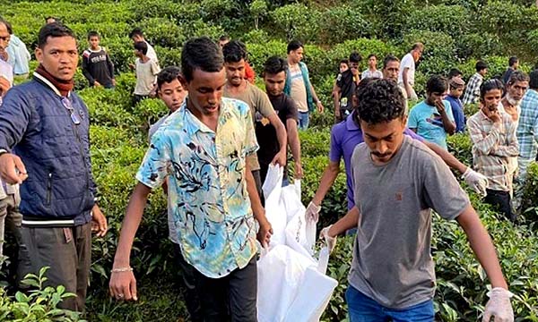 চা বাগানে মিলল যুবক-যুবতীর মরদেহ