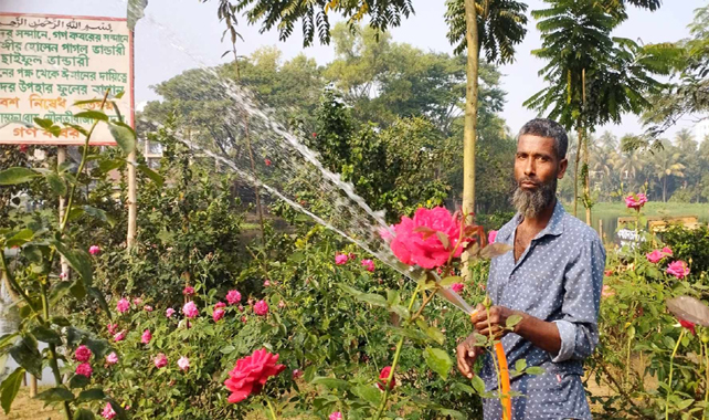 অপরিচ্ছন্ন গণকবর এখন ফুলবাগান