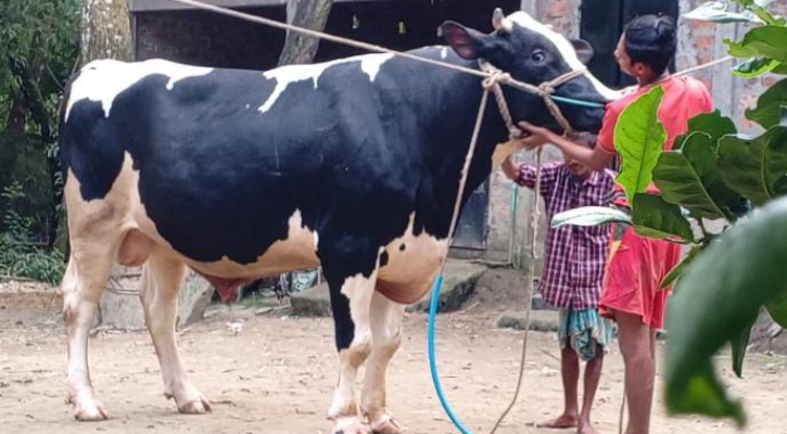 সিলেটে নজর কাড়ছে বাহুবলী-৪