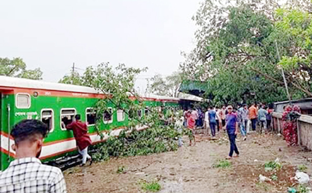 লাউয়াছড়ায় গাছ পড়ে সিলেটের সঙ্গে ট্রেন যোগাযোগ বন্ধ