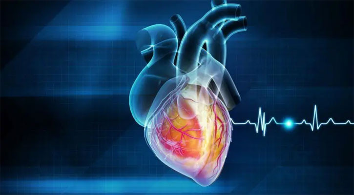 হৃদরোগ এড়াতে প্রতিদিনের খাবারে যে পরিবর্তন জরুরি