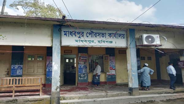 সতের শ গাছের মধ্যে সড়কের পাশে মিলল দেড় শতাধিক