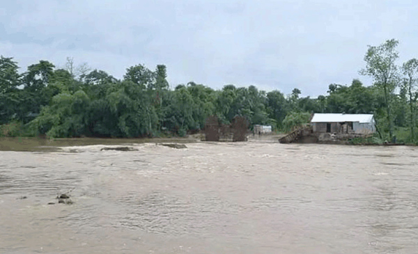 মৌলভীবাজারে বাড়ছে মনু, ধলাই ও জুড়ী নদীর পানি