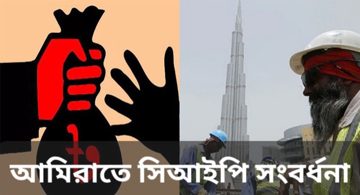 আমিরাতে সিআইপিদের সংবর্ধনা দিচ্ছে বাংলাদেশ কমিউনিটি