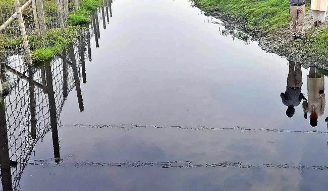 হবিগঞ্জে শিল্প বর্জ্যে দূষিত সাতটি হাওরের পানি, বিপাকে কৃষকরা