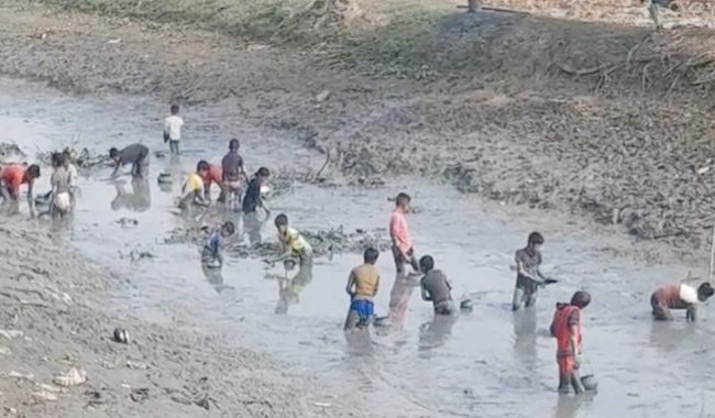 মধ্যনগরে জলাশয় শুকিয়ে অবাদে চলবে মৎস নিধন