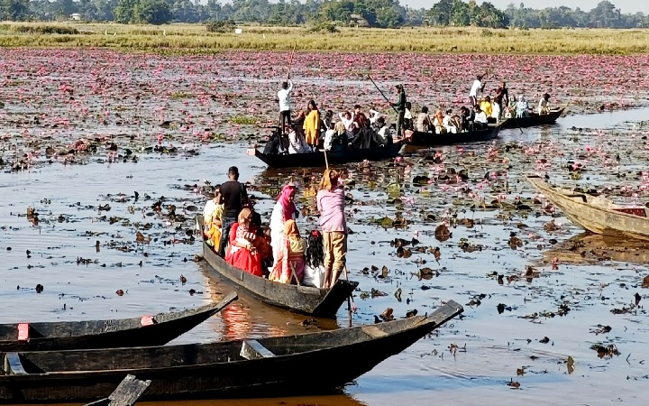 শাপলা বিলে বাড়ছে পর্যটকদের ভিড়