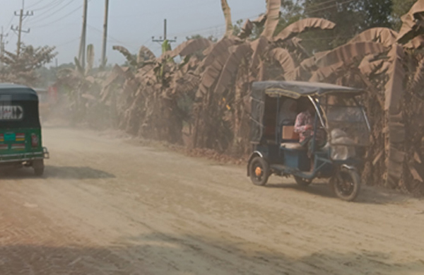 ধুলায় অ্যালার্জির ঘরোয়া সমাধান