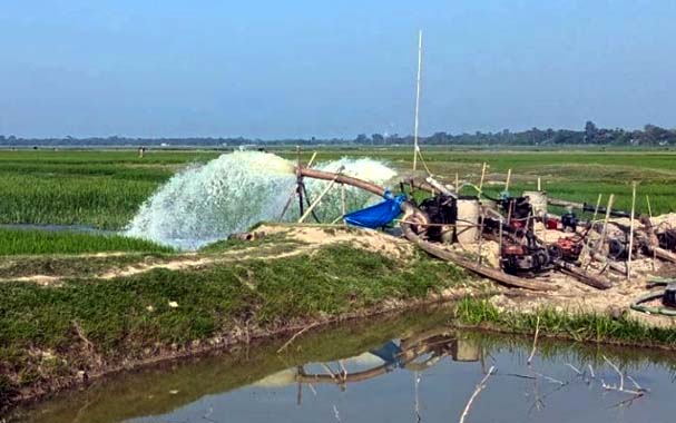 সুনামগঞ্জে কমছে দেশী মাছের উৎপাদন
