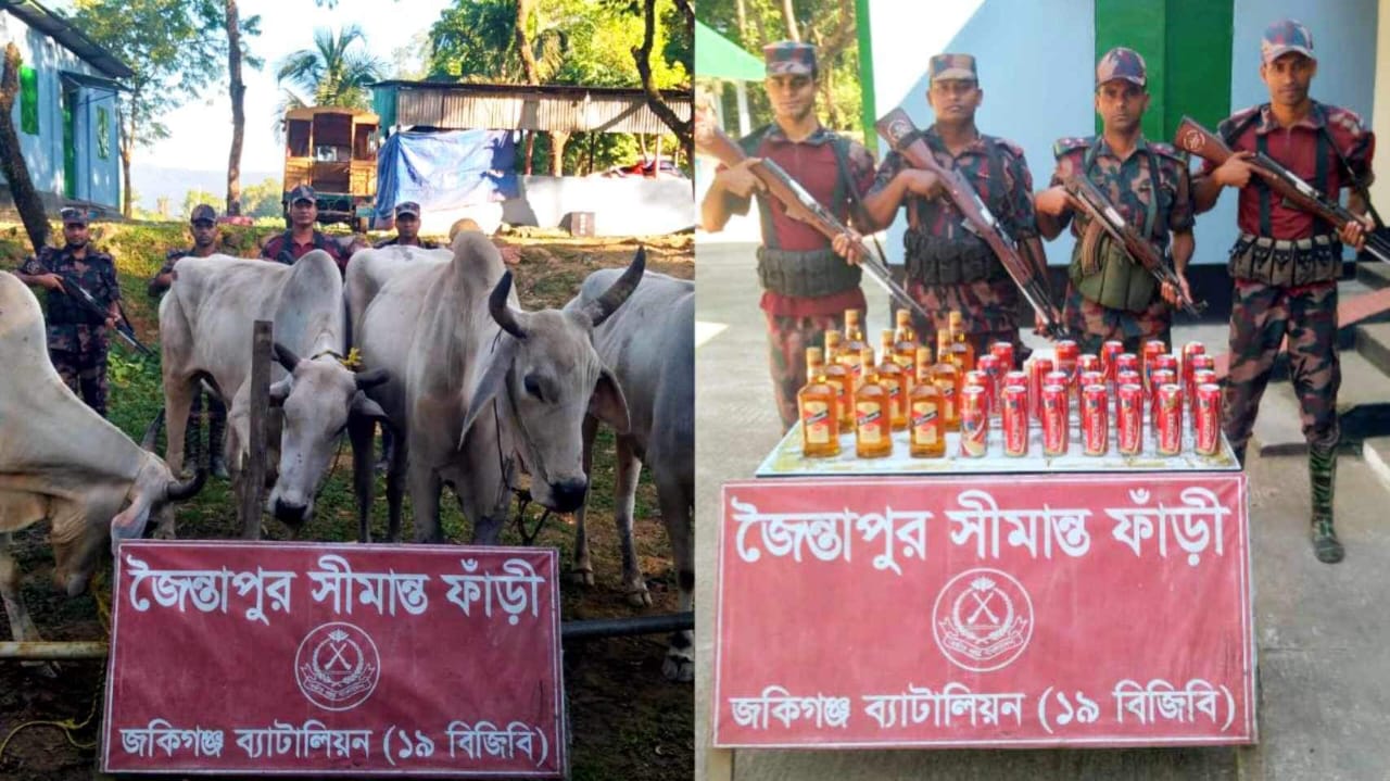 জৈন্তাপুরে বিজিবির অভিযানে ভারতীয় গরু ও মদ উদ্ধার 