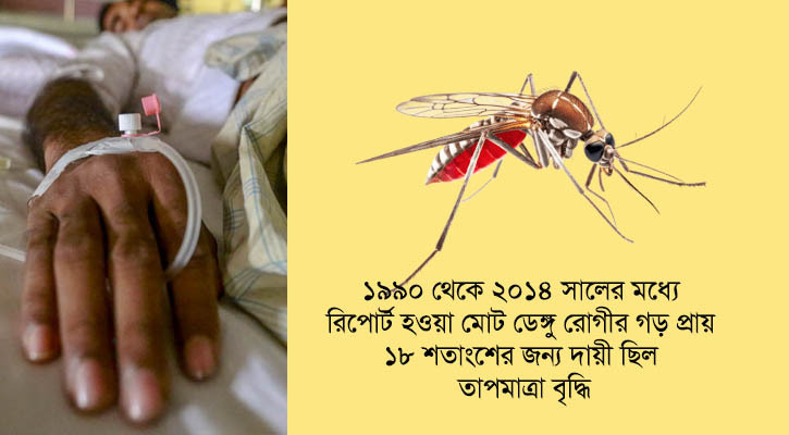 জলবায়ু পরিবর্তনে বাড়ছে ডেঙ্গু