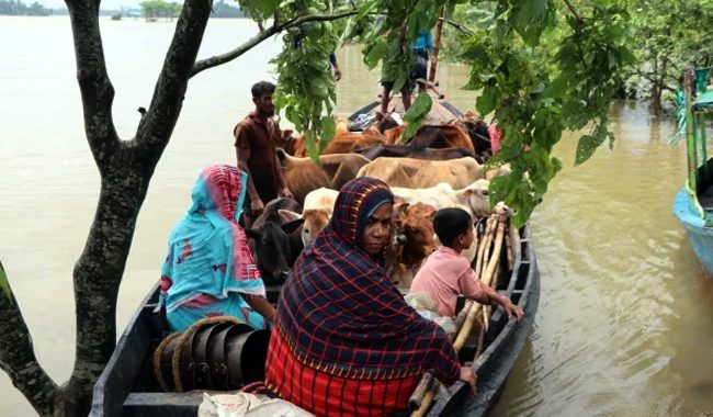 দুই দফা বন্যায় কৃষিতেই ৪১৮ কোটি টাকা ক্ষয়ক্ষতি