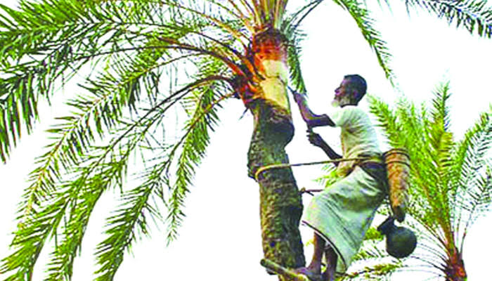 শীতের সকালে খেজুর রসের স্বাদই আলাদা