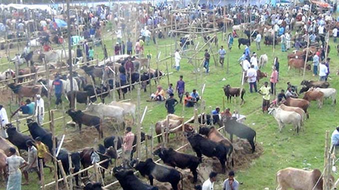 &lsquo;৮০-৯০ হাজার টাকা মিলছে না পছন্দমতো পশু&rsquo;