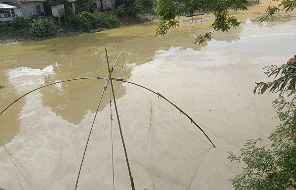 সিলেটে দেশীয় প্রজাতির মাছ রক্ষায় নেই উদ্যোগ, অভয়াশ্রমই নিশ্চিহ্নের পথে