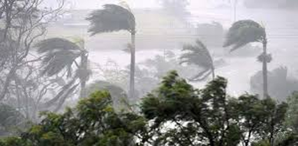  ৫ দিন বজ্রসহ বৃষ্টির আশঙ্কা, কৃষকদের মাঠে না যাওয়ার পরামর্শ