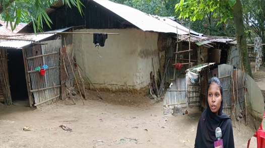 চা বাগানের মেয়ে সুস্মিতার স্বপ্ন দেখেন নার্স হওয়ার