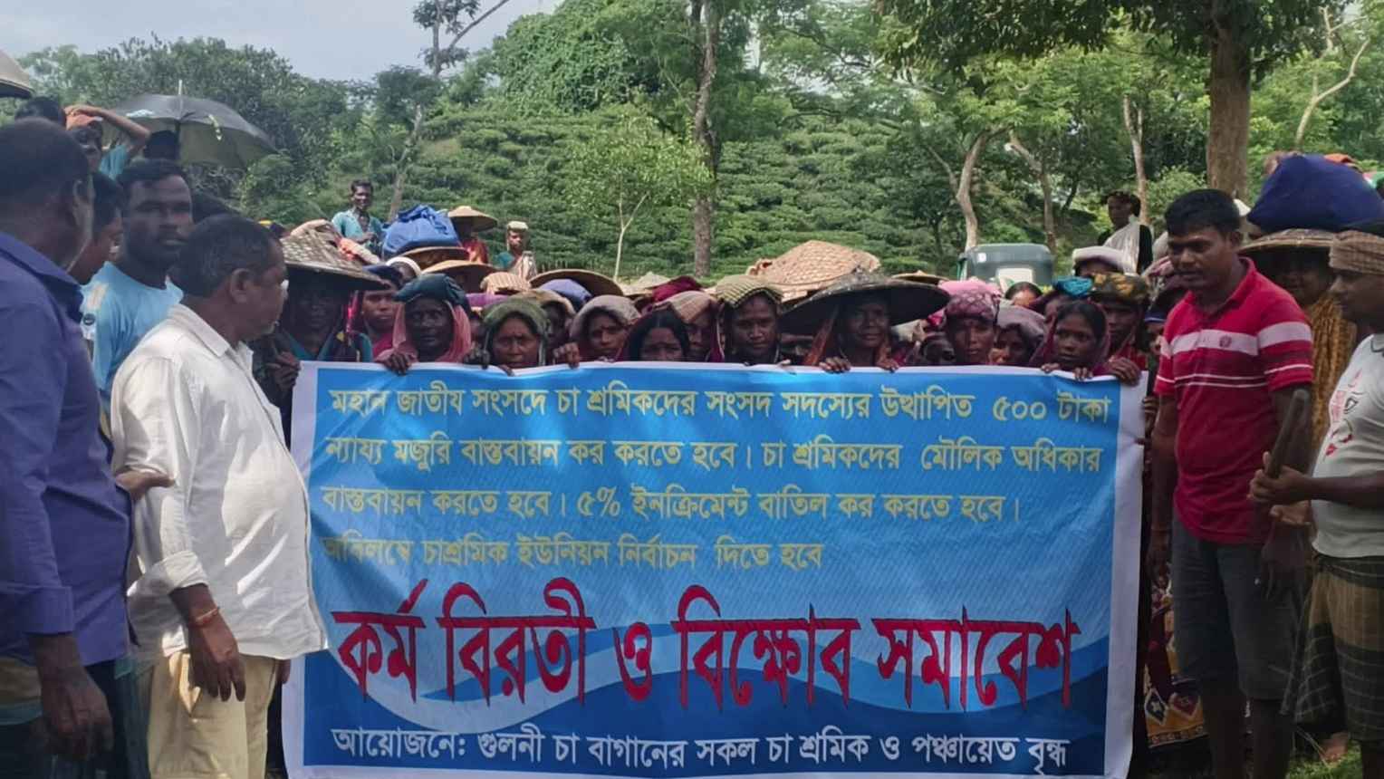 গোয়াইনঘাট পাঁচ দফা দাবিতে চা শ্রমিকদের কর্মবিরতি ও বিক্ষোভ