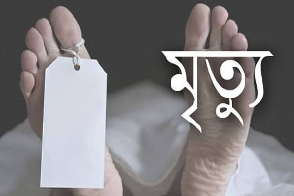 কোম্পানীগঞ্জে ভোট দিতে গিয়ে হিটস্ট্রোকে মৃত্যু