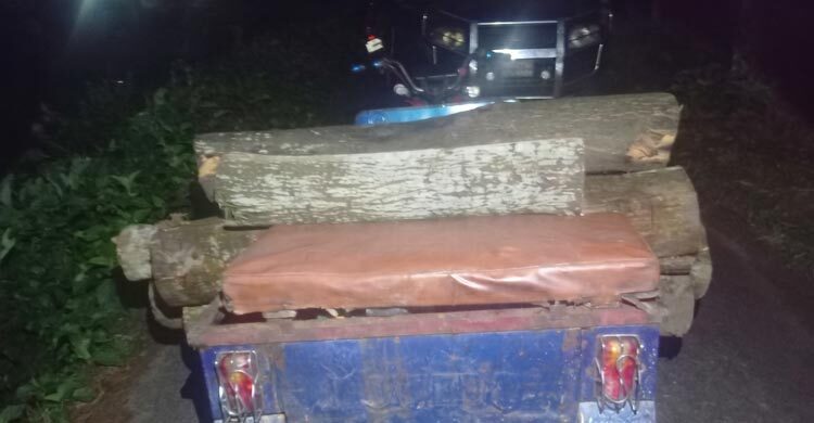 উজাড় হচ্ছে কালাছড়া বিটের বৃক্ষ, হুমকির মুখে পরিবেশ
