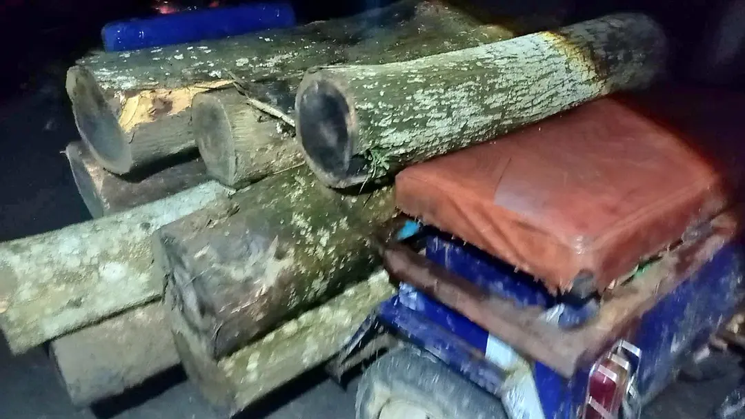 কমলগঞ্জে রাতের আঁধারে চলছে বৃক্ষ নিধন