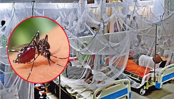 সিলেটে আরও দু&rsquo;জনের ডেঙ্গু সনাক্ত