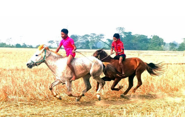বিশ্বনাথে ঘোড় দৌঁড় প্রতিযোগীতা অনুষ্ঠিত