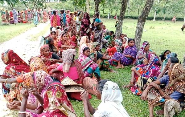গোয়াইনঘাটে মানবেতর জীবন কাটাচ্ছেন চা শ্রমিকরা