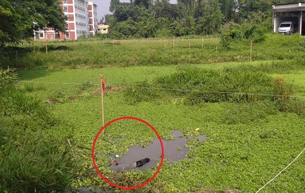 শাবির লেক থেকে শ্রমিকের লাশ উদ্ধার