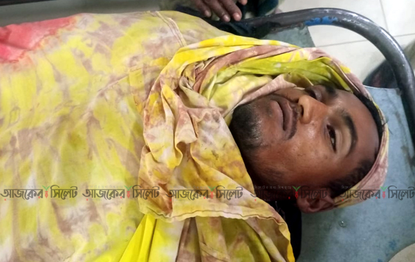 হবিগঞ্জে হাসঁ চরাতে গিয়ে বজ্রপাতে খামারির মৃত্যু 