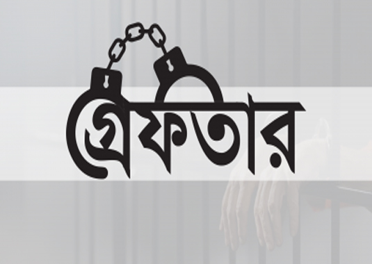 সুনামগঞ্জে আ.লীগের ১১ নেতাকর্মী গ্রেফতার 
