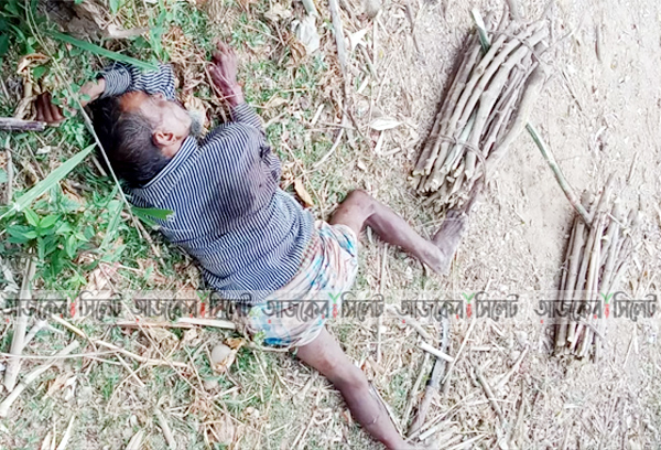 ভারত থেকে কাঠ সংগ্রহে গিয়ে বৃদ্ধের মৃত্যু