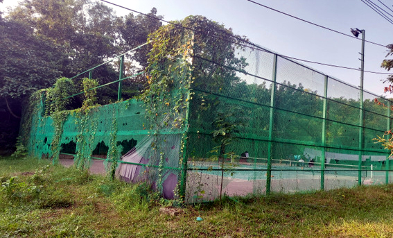 শাবির &lsquo;পরিত্যক্ত&rsquo; টেনিসকোর্টে খেলা হয় ক্রিকেট!