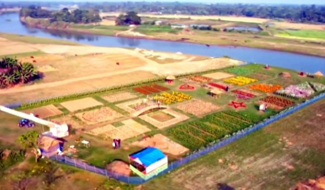 ফ্লাওয়ার লেকে ছুটছেন দর্শনার্থীরা