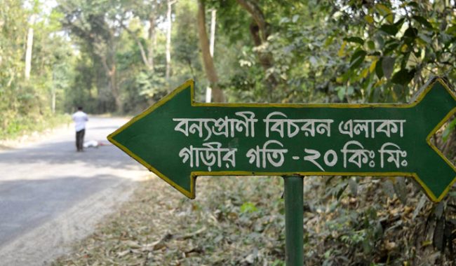 বেপরোয়া গাড়িচাপায় মরছে সংরক্ষিত বনের প্রাণী