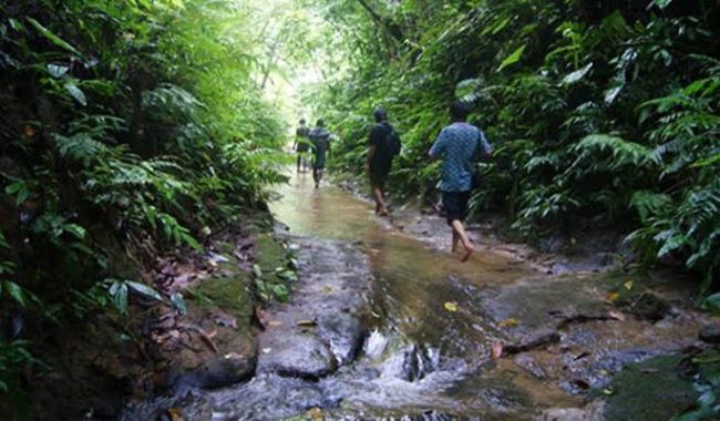 লাঠিটিলা পাহাড়ে বইছে স্বস্তির সুবাতাস