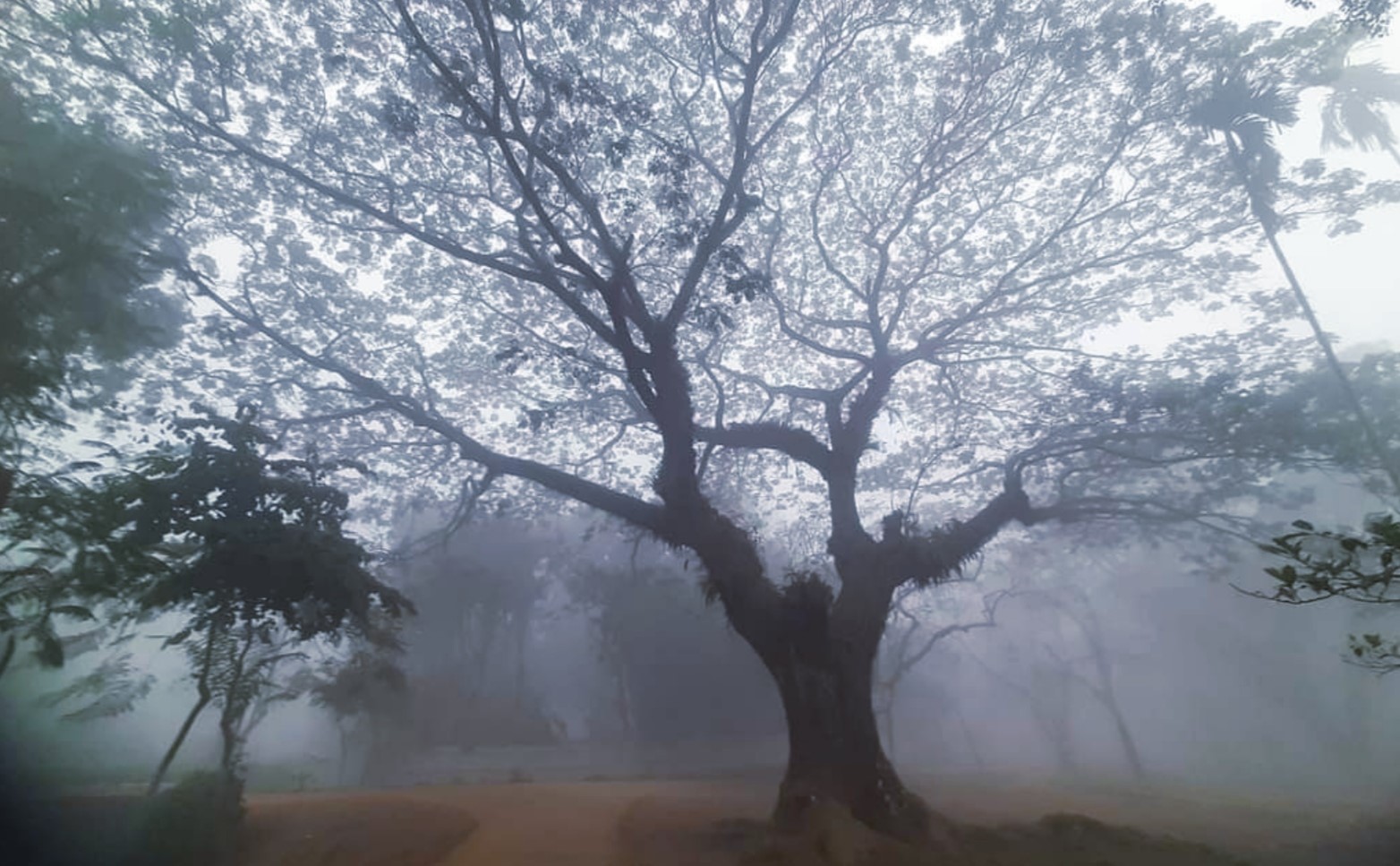 মৌলভীবাজারে শীতের দাপটে স্থবির জনজীবন