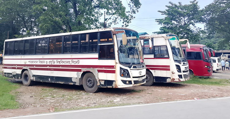 জ্বালানি সংকট দেখিয়ে শাবির বাসের তিন ট্রিপ