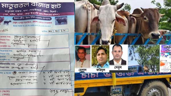 গোয়াইনঘাটে ভুয়া রশিদে ভারতীয় গরুর রমরমা বাণিজ্য, &lsquo;ম্যানেজ&rsquo; প্রক্রিয়ায় চেকপোস্ট পারাপার