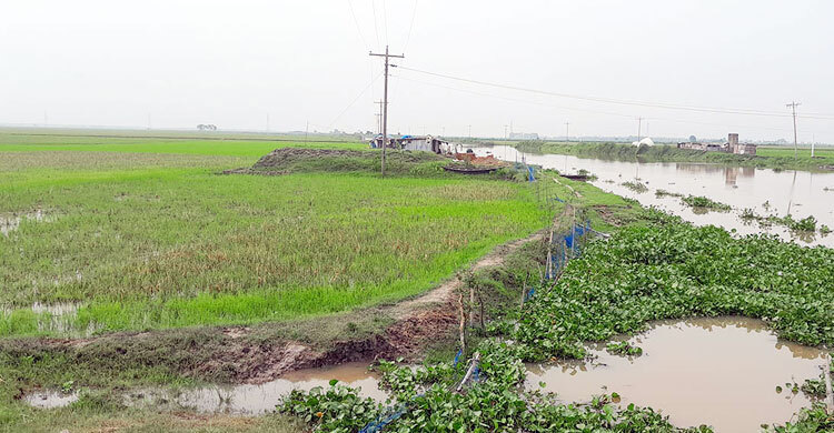আজমিরীগঞ্জে জাইকা প্রকল্পে 'হরিলুট'!