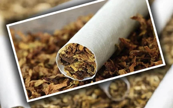 তামাকজনিত মৃত্যুরোধে কর বৃদ্ধির বিকল্প নেই