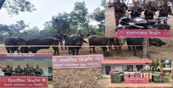 বিজিবির অভিযানে ৯১ লক্ষ টাকার চোরাচালানী মালামাল আটক