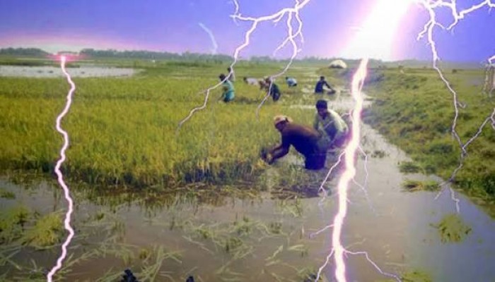 হাওরে বজ্রপাত আতঙ্কের সঙ্গে অকালবন্যার শঙ্কা