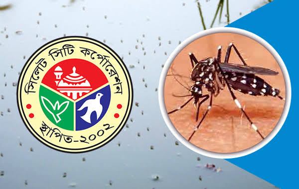 নগরীতে বাড়ছে মশার উৎপাত