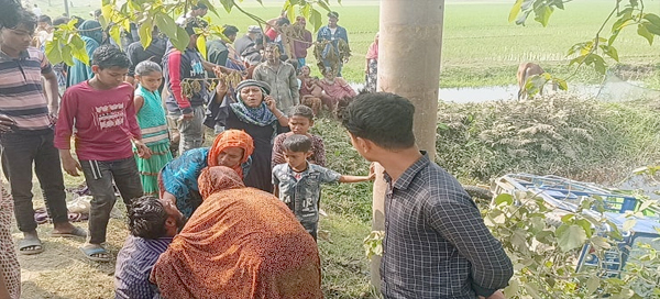 সুনামগঞ্জে নিয়ন্ত্রণ হারিয়ে যাত্রীবাহী অটোরিকশা খাদে, আহত ১০