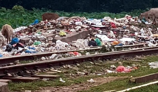  শায়েস্তাগঞ্জে রেললাইনের পাশে ময়লার ভাগাড়