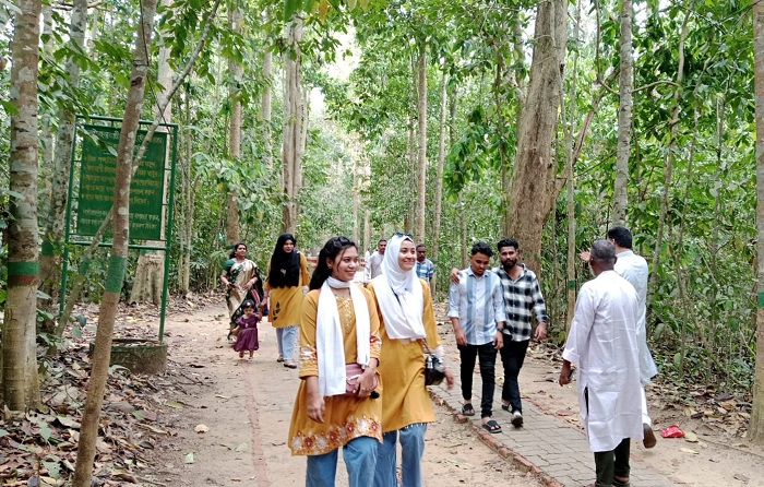 ঈদের ছুটিতে লাউয়াছড়ায় পর্যটকদের ঢল, মুখরিত সবুজ অরণ্য
